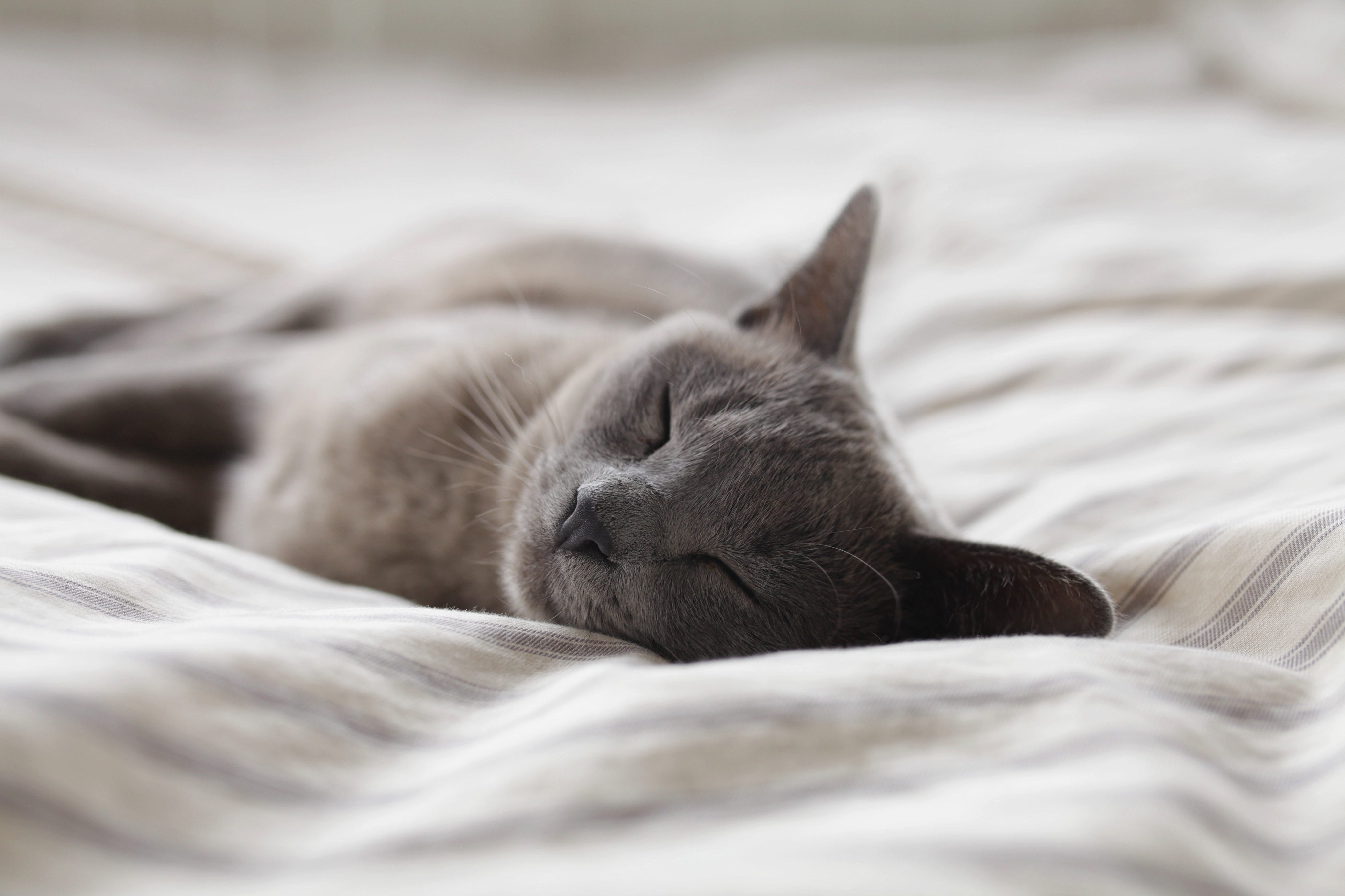 De combien d'heures de sommeil avez-vous vraiment besoin ?