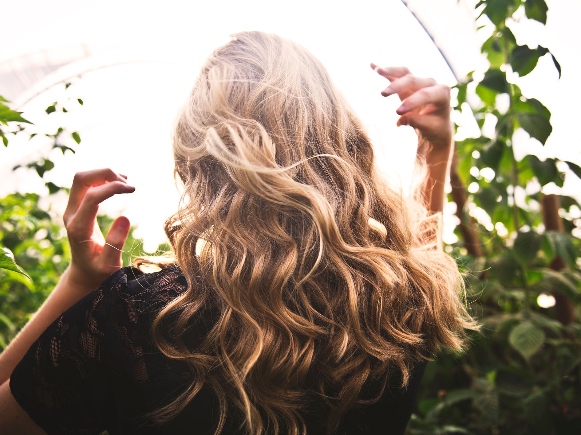 Les avantages de l’huile de chanvre pour les cheveux