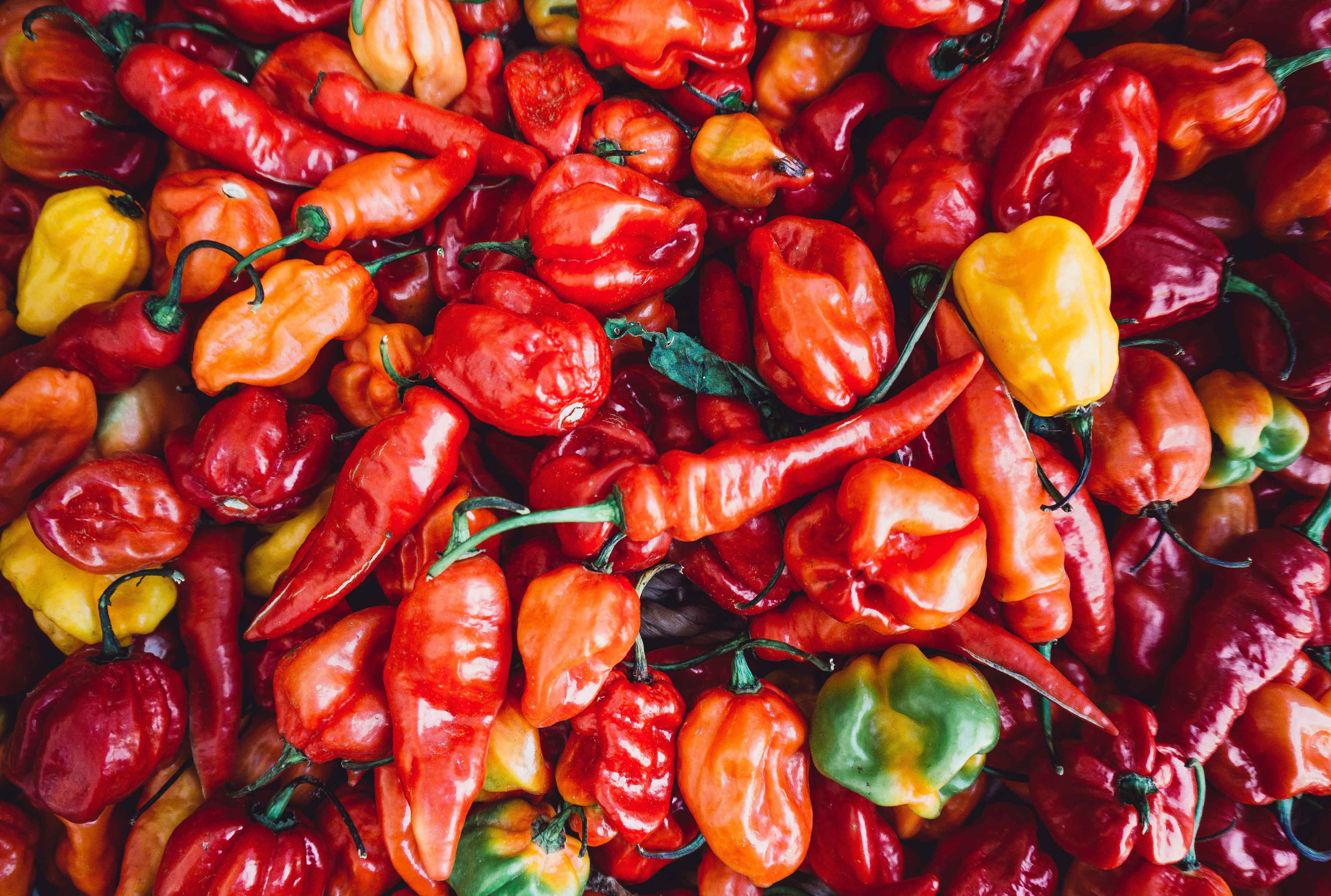 21 raisons de manger des vrais aliments