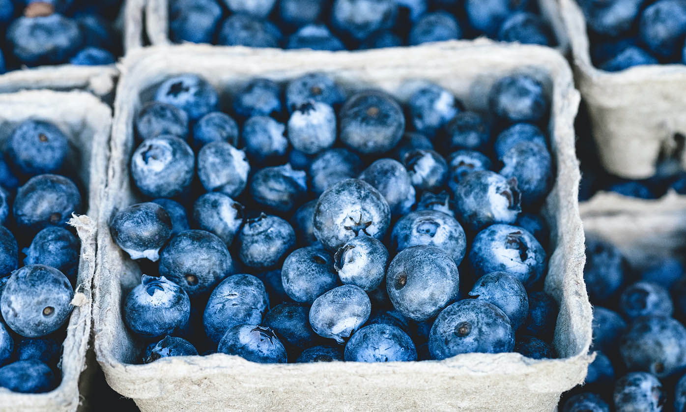 Les antioxydants expliqués en termes simples