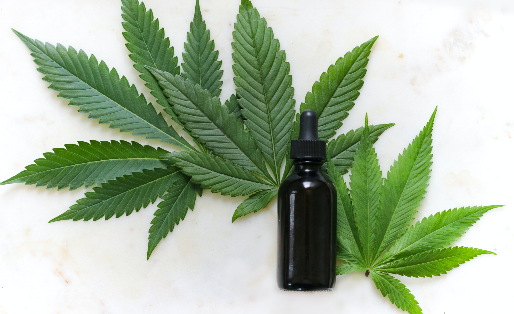 Interactions entre le CBD et les médicaments : Ce que vous devez savoir