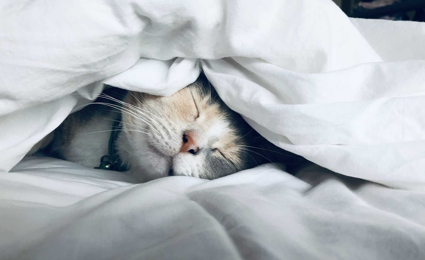 10 raisons pour lesquelles vous êtes toujours fatigué (et ce que vous pouvez faire pour y remédier)