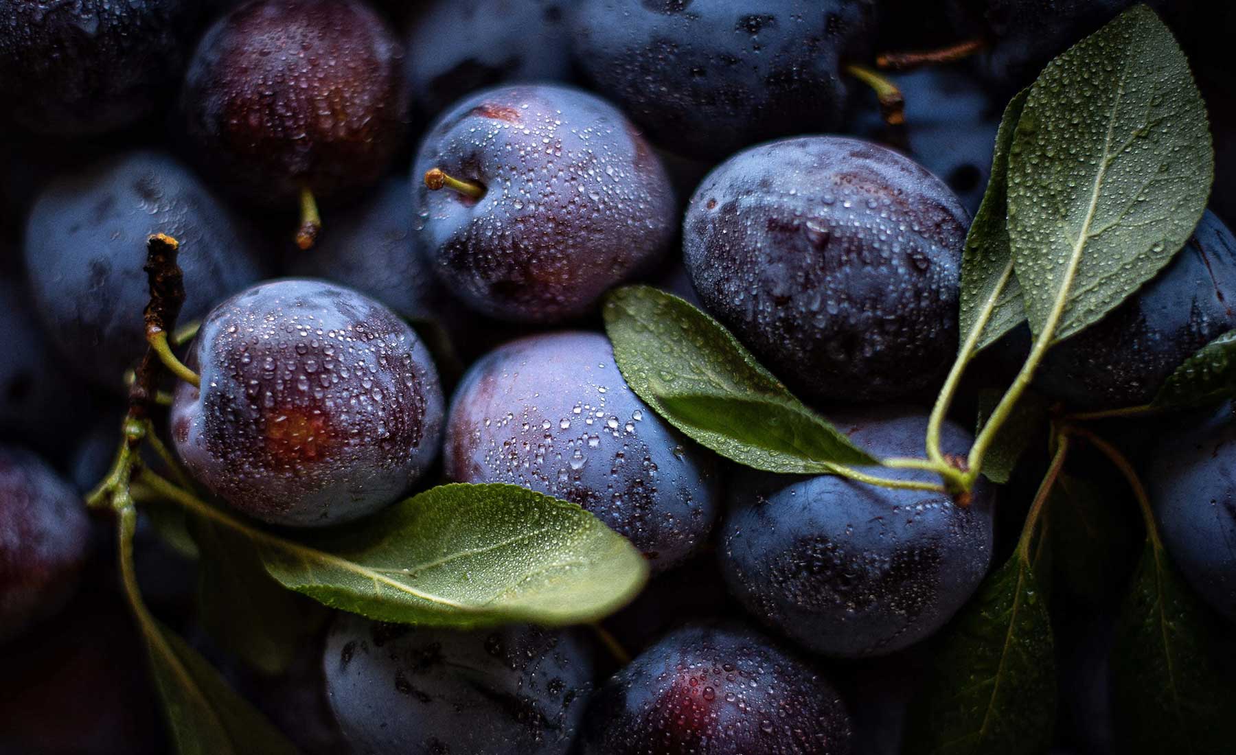 Les 17 meilleurs aliments pour soulager la constipation