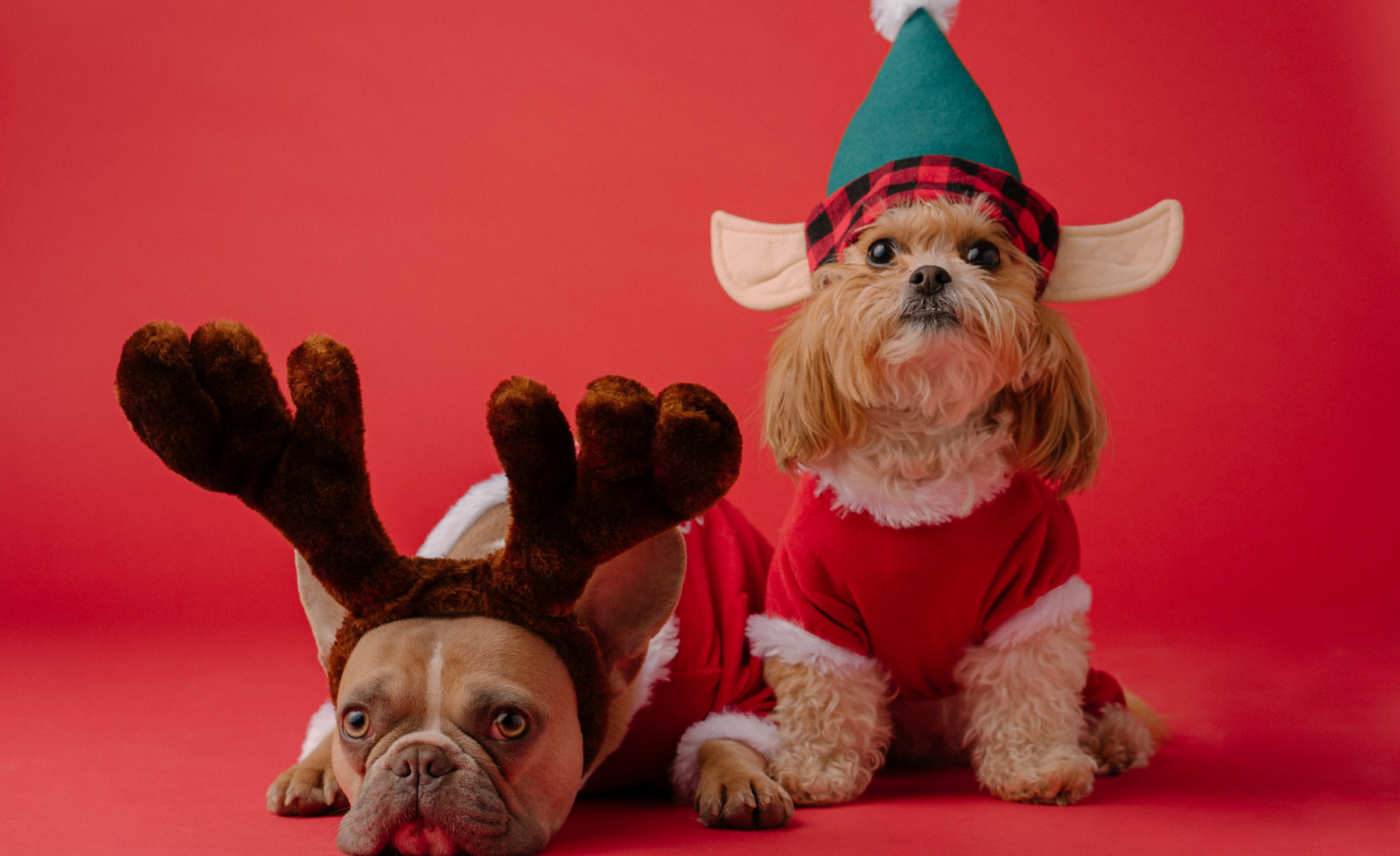 Comment réduire le stress de Noël