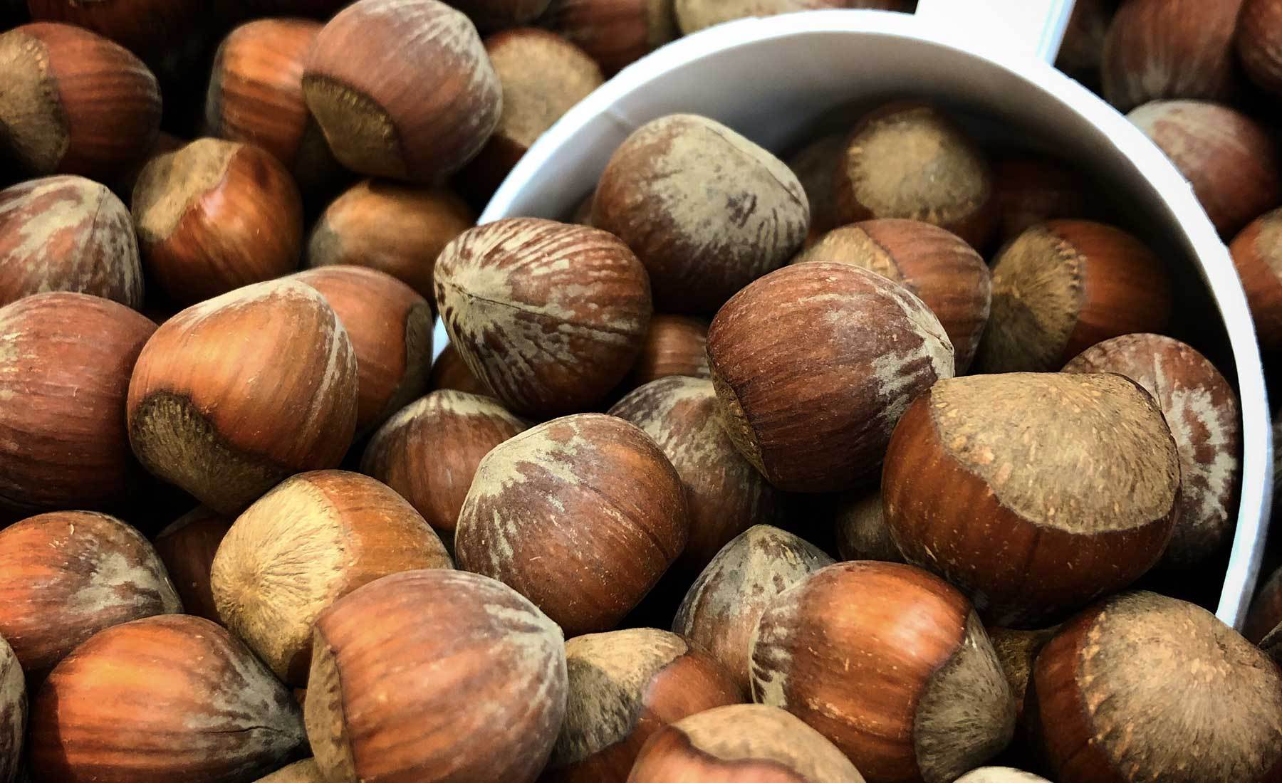 Les 9 meilleures noix à manger pour une meilleure santé