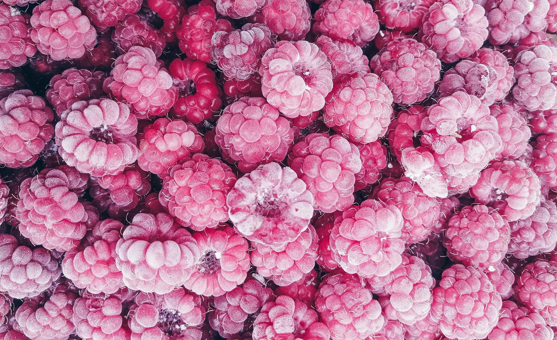 Framboises : valeurs nutritives, bienfaits et avantages