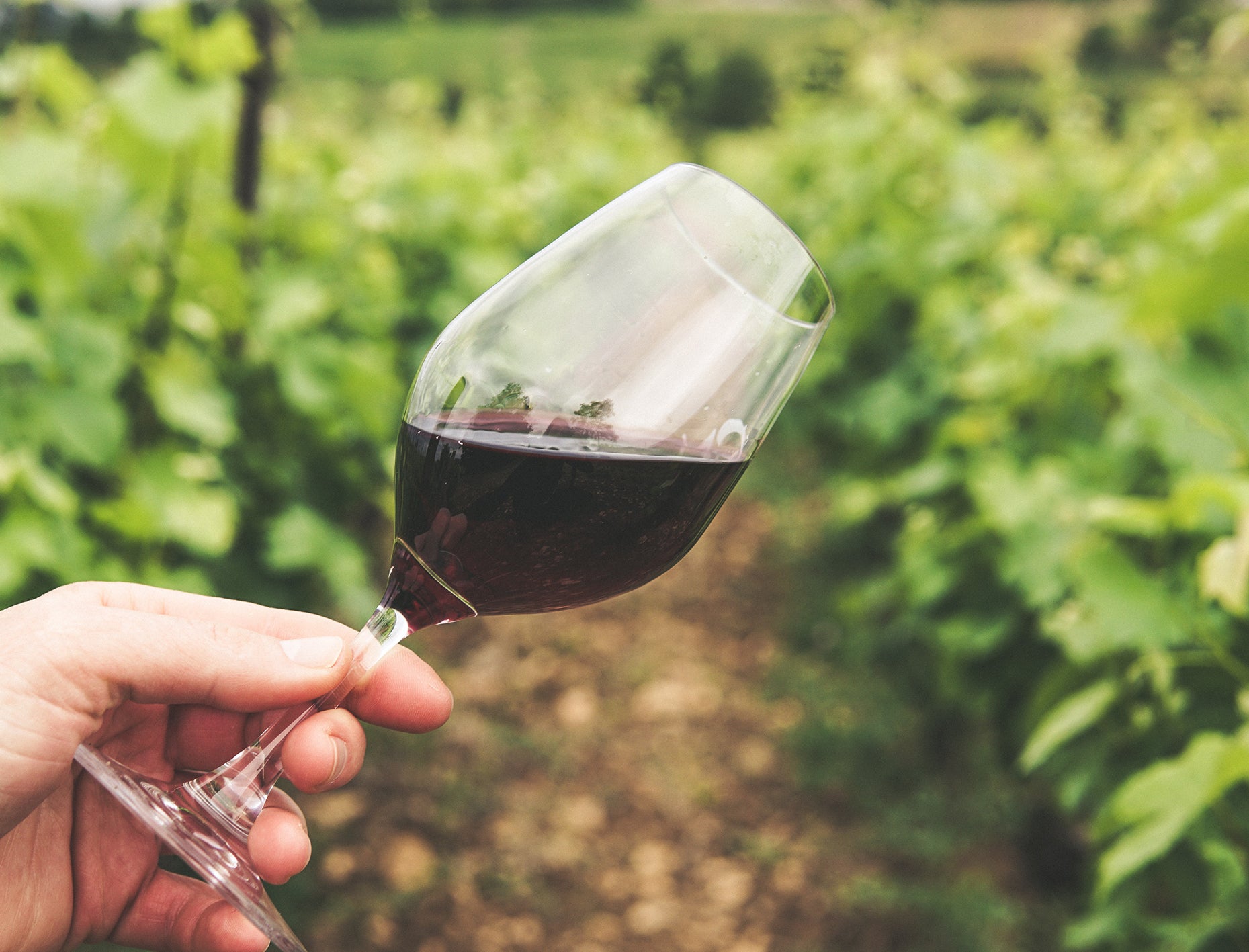 Les 10 meilleurs types d'alcool pour les personnes diabétiques