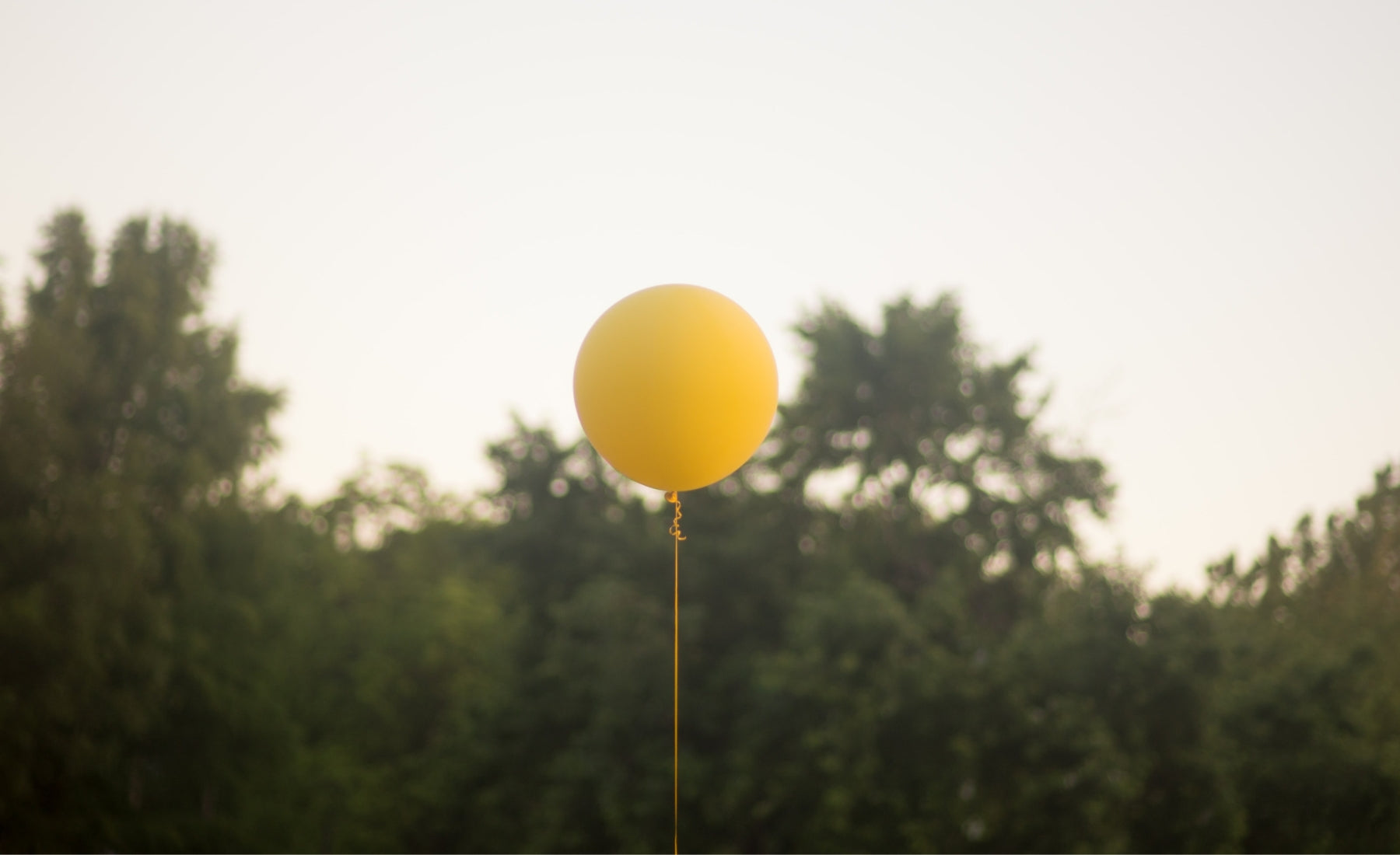 11 méthodes pour réduire ou éliminer les ballonnements