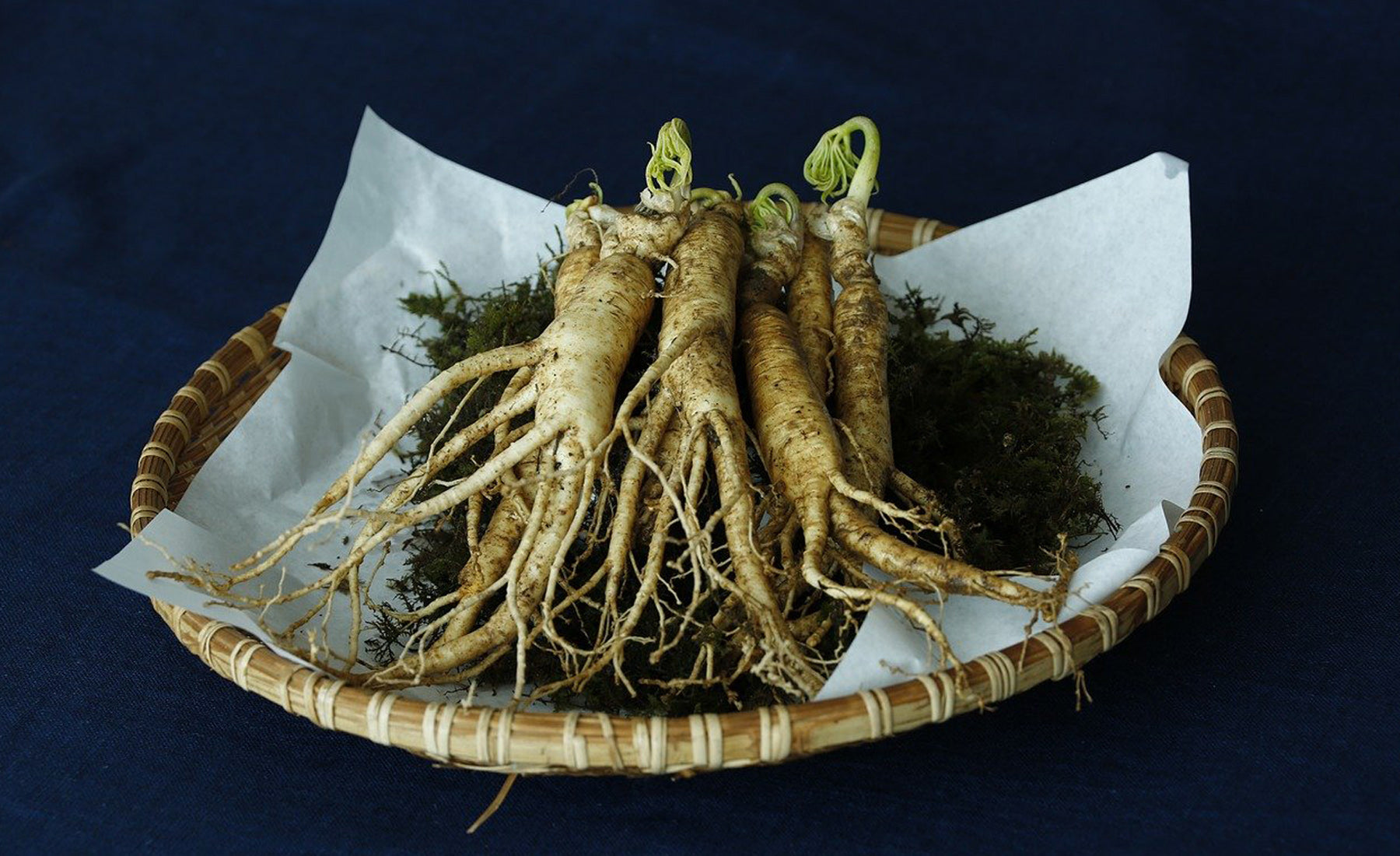 Quels sont les avantages du ginseng pour la santé et le bien-être ?