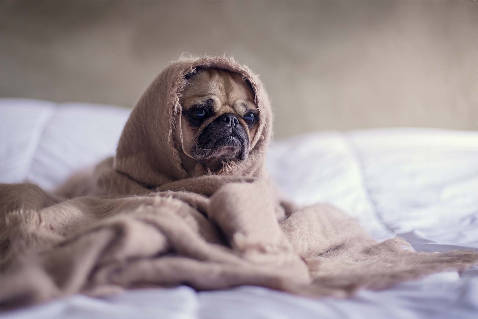 17 conseils éprouvés pour mieux dormir la nuit