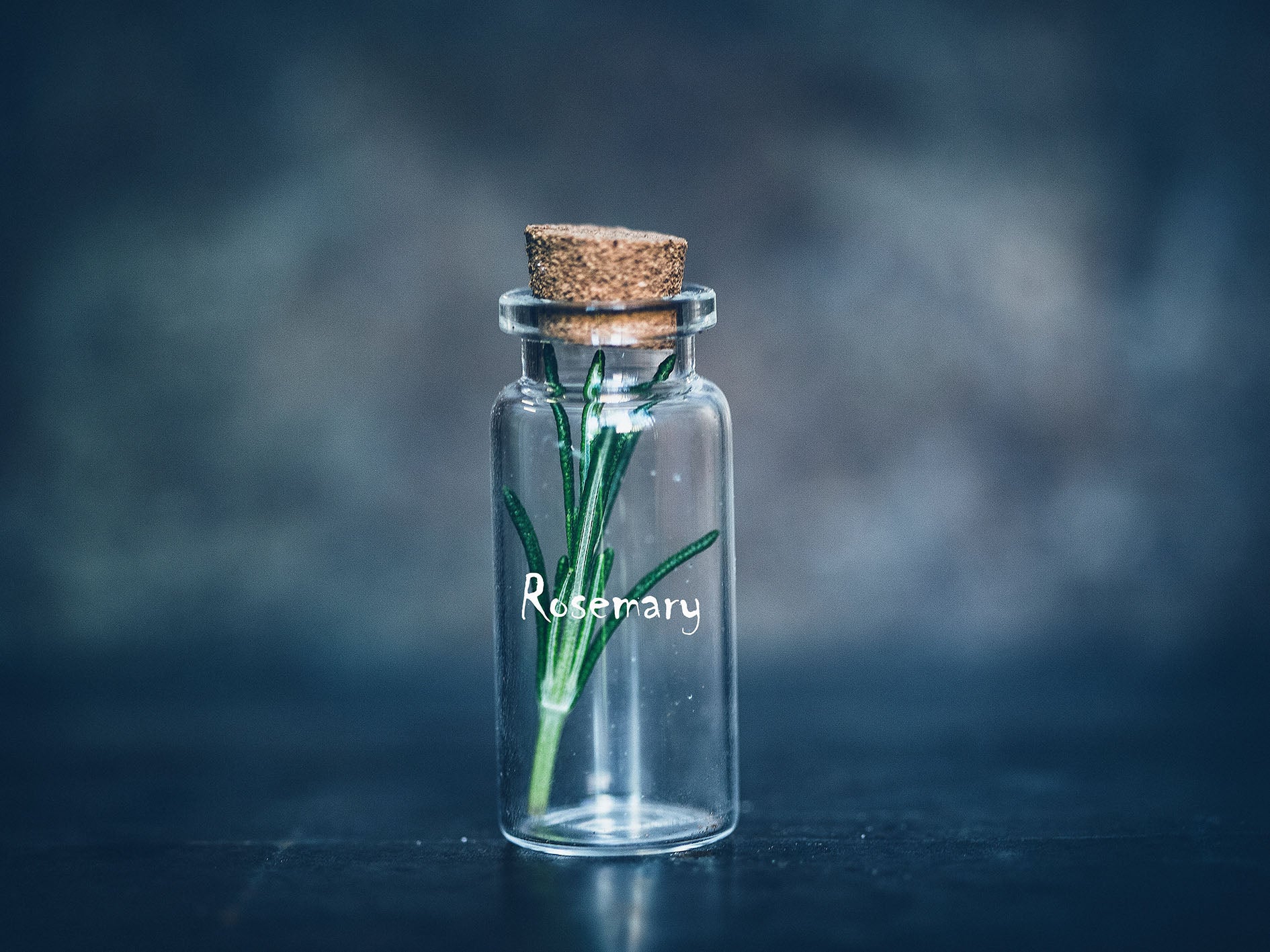 Le potentiel du romarin pour la santé