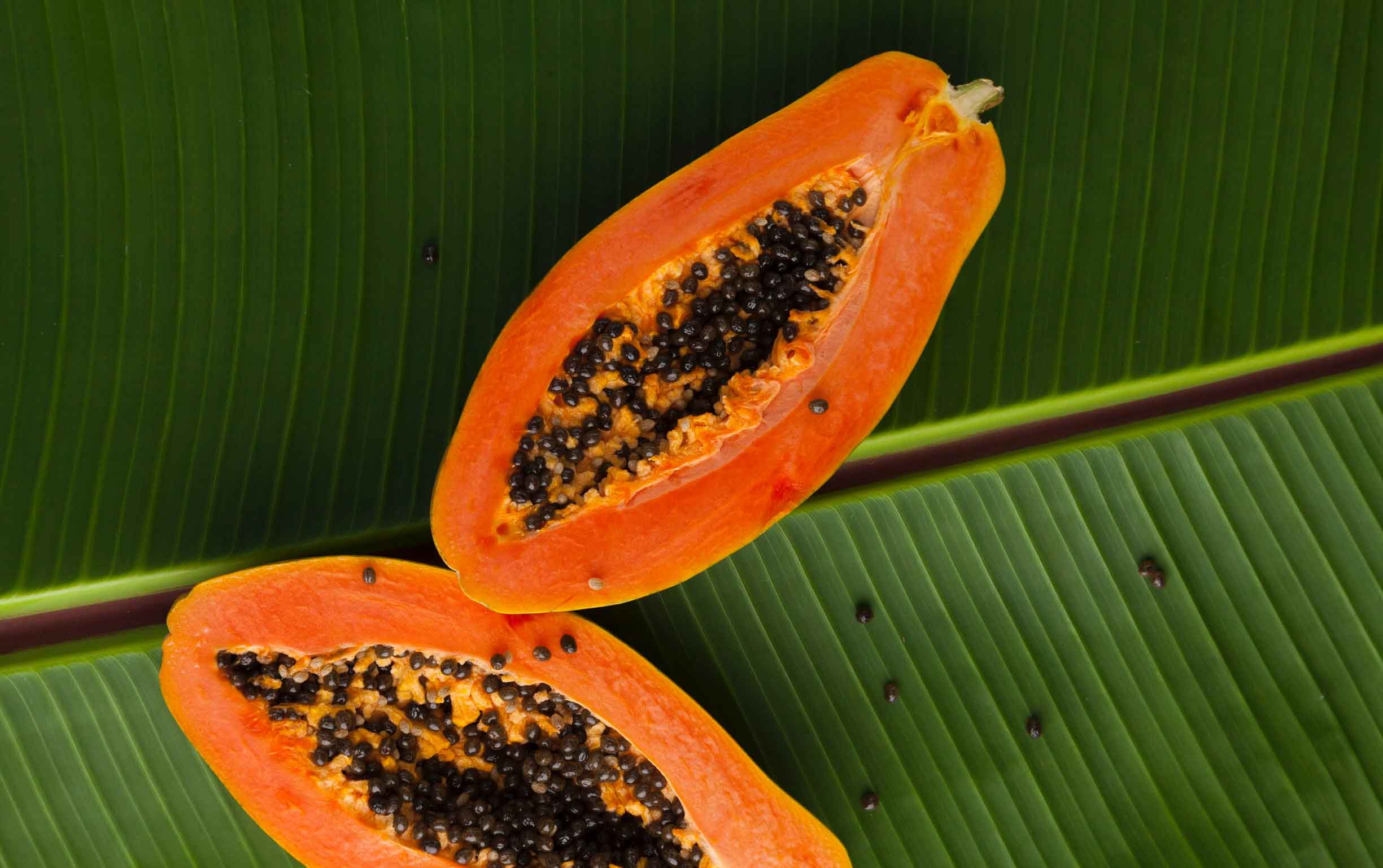 Les 8 bienfaits de la papaye pour la santé